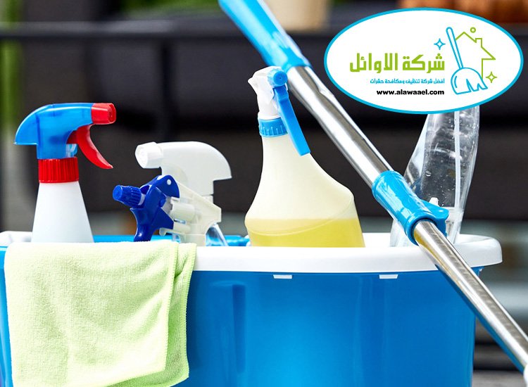 شركة تنظيف في بني ياس