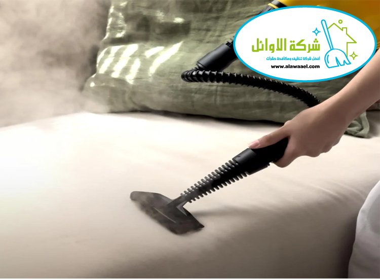 شركة تنظيف بالبخار في العين