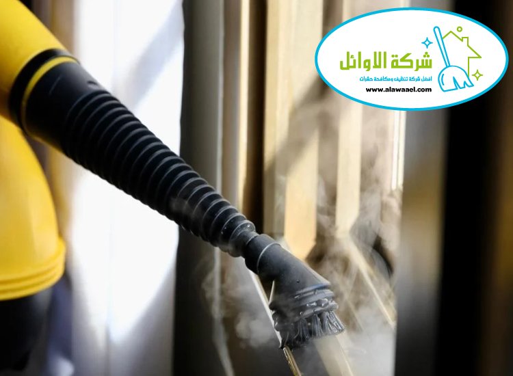 تنظيف بالبخار