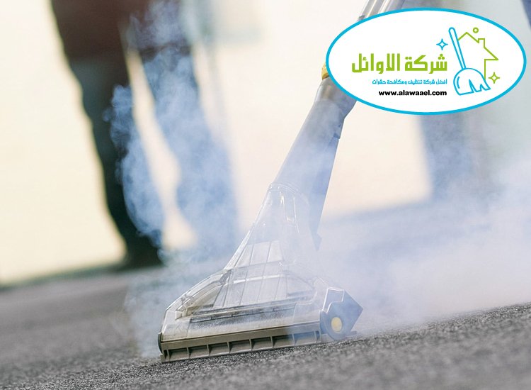 تنظيف بالبخار