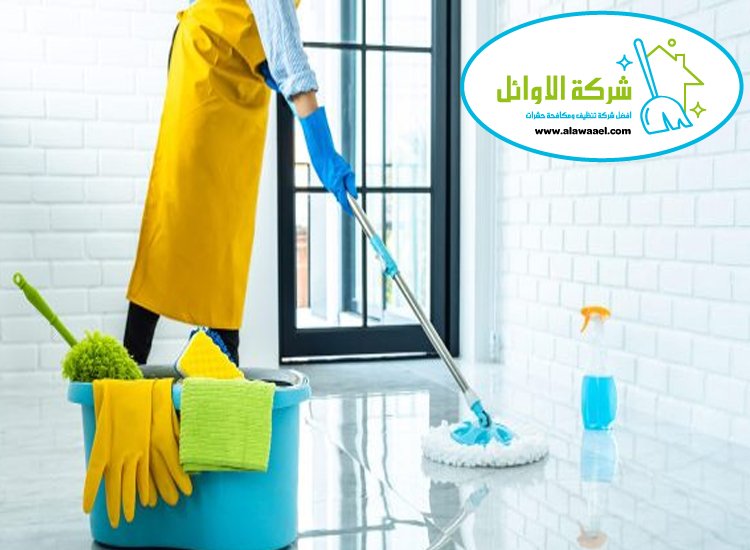 شركة تنظيف في العين