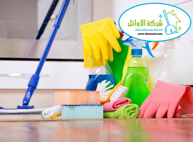 شركة تنظيف عميق في العين