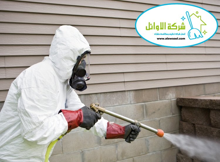 شركة مكافحة الناموس في ابوظبي