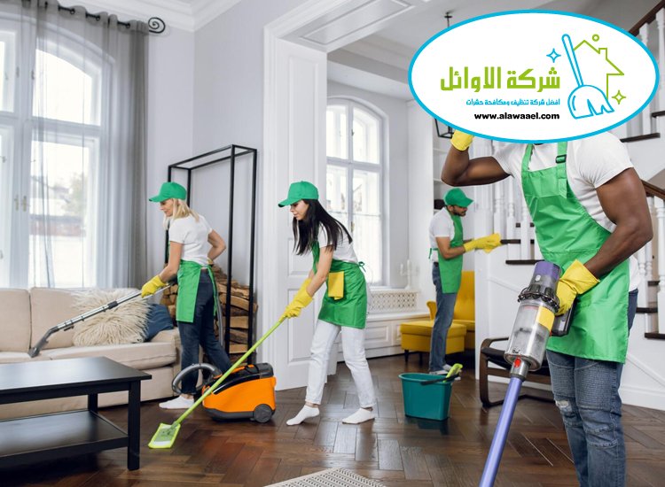 شركة تنظيف فلل في العين 