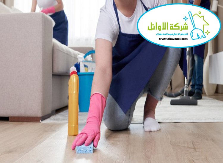 شركة تنظيف
