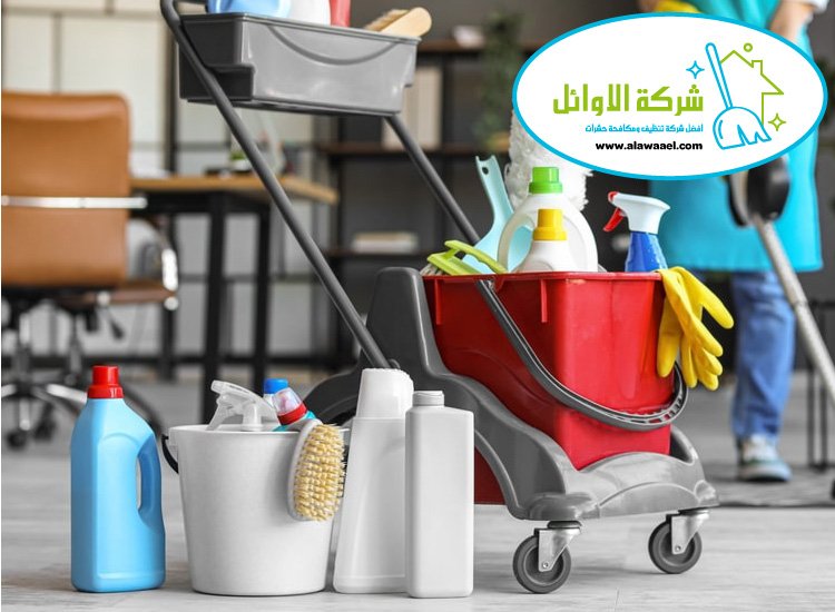  شركة تنظيف في الباهية