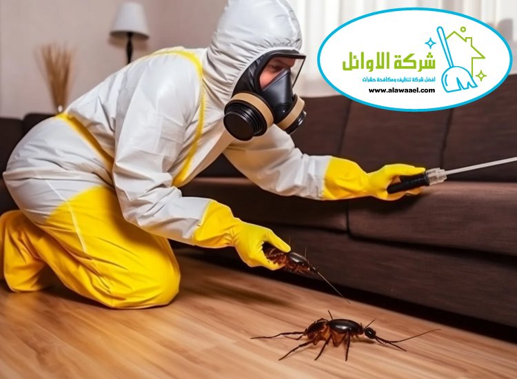 شركة مكافحة الصراصير في العين