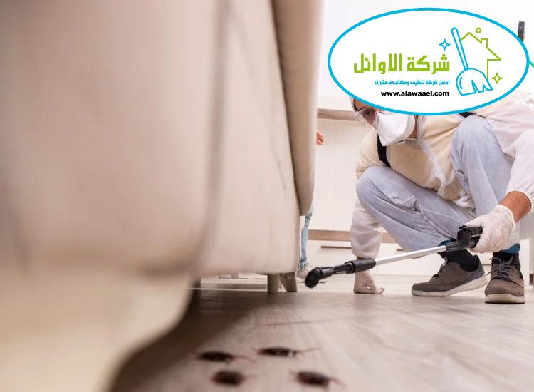  شركة مكافحة الصراصير في العين