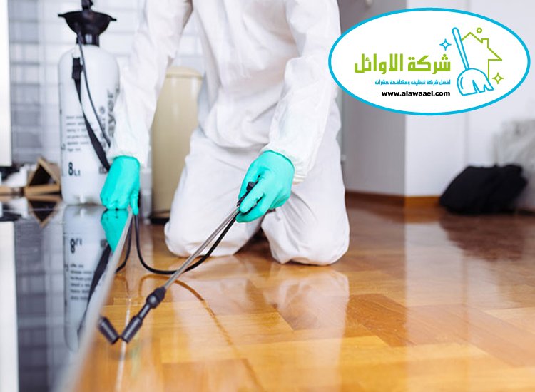 شركة مكافحة النمل في ابوظبي 