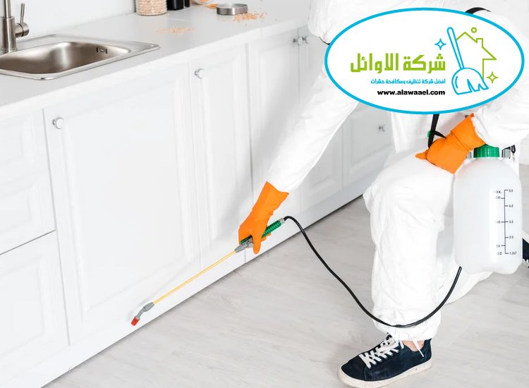  شركة مكافحة الصراصير في العين