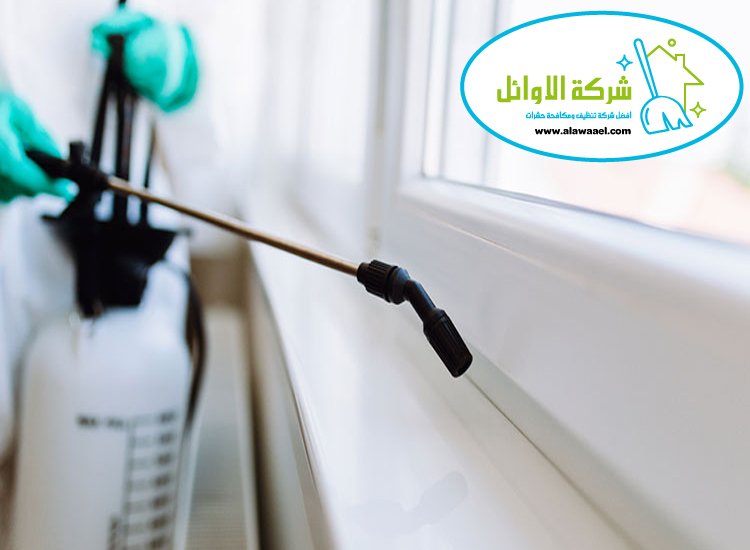 مكافحة النمل