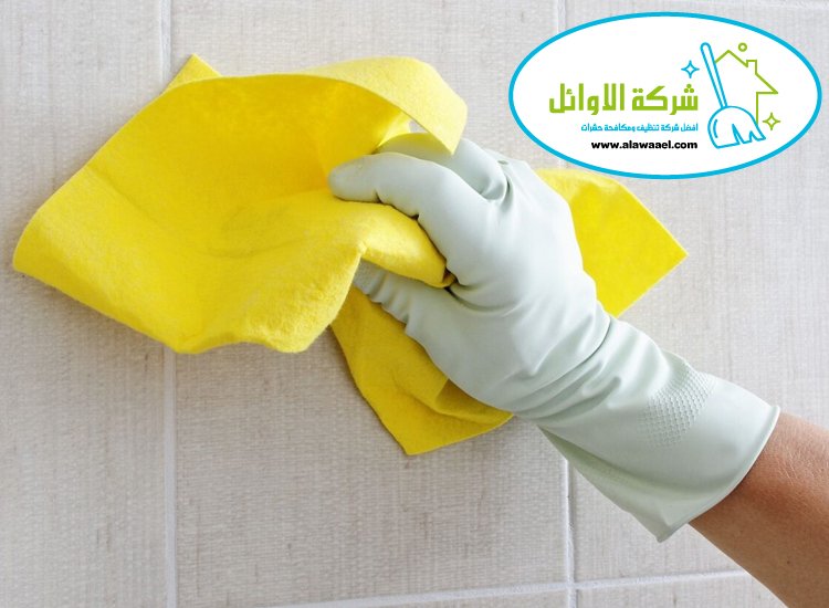 شركة تنظيف في الراحة