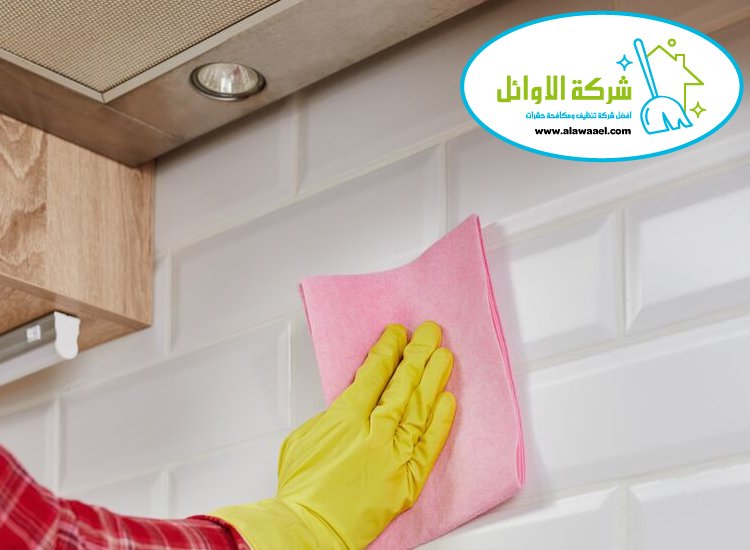شركة تنظيف في الشوامخ