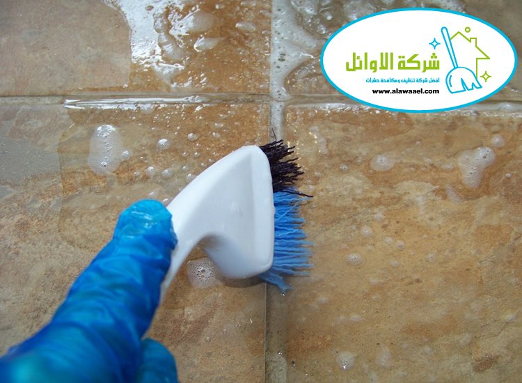 شركة تنظيف الحوائط في العين