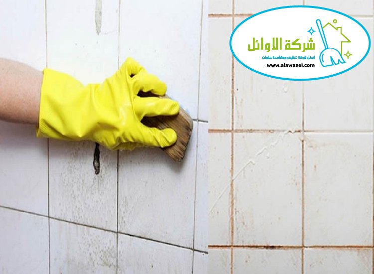  شركة تنظيف الحوائط في ابوظبي