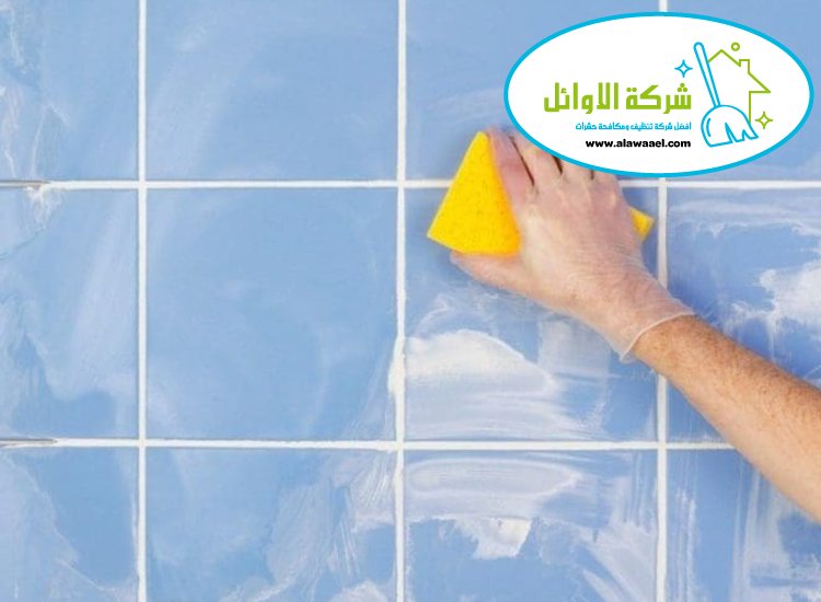 شركة تنظيف الحوائط في ابوظبي
