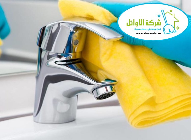 شركة تنظيف حمامات في العين