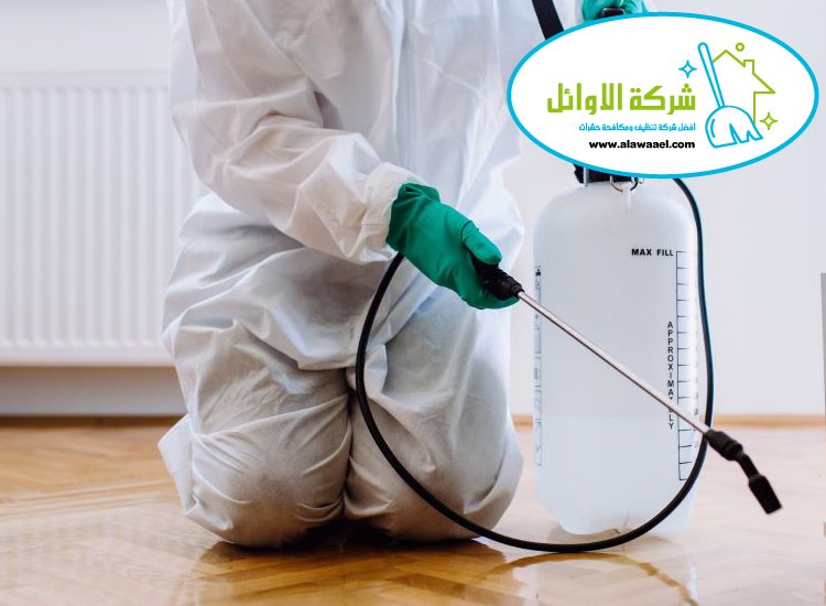 شركة مكافحة الناموس في العين