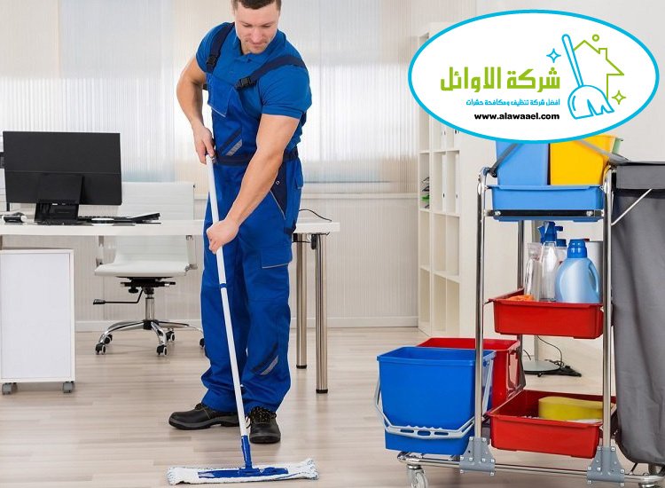 شركة تنظيف في الباهية 