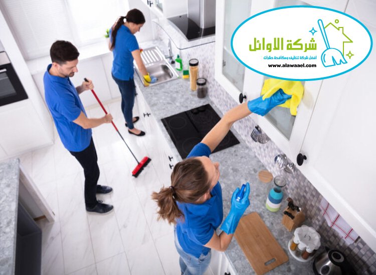 شركة تنظيف في الباهية