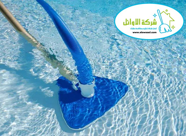 شركة تنظيف مسابح في العين