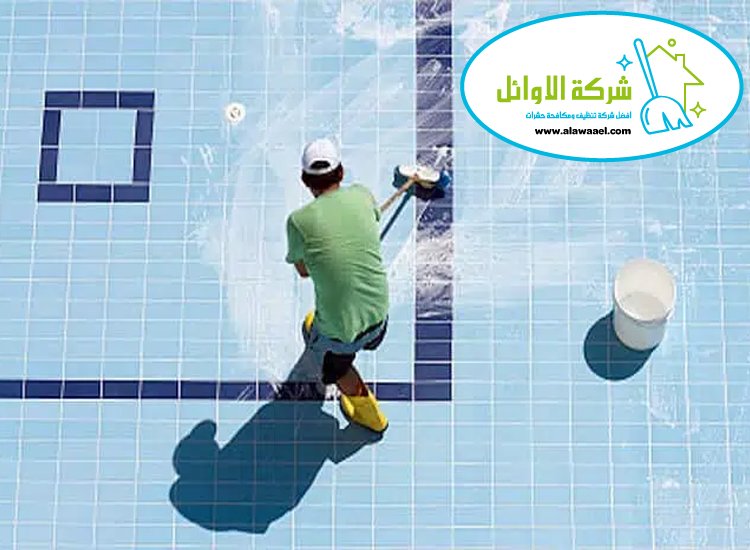 شركة تنظيف مسابح في العين