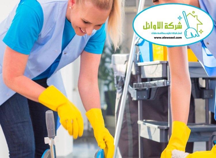 شركة تنظيف في الباهية 