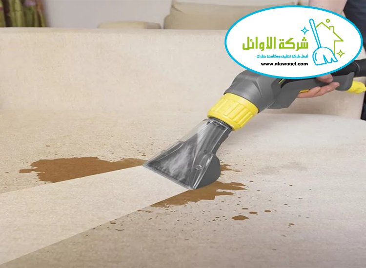 تنظيف كنب