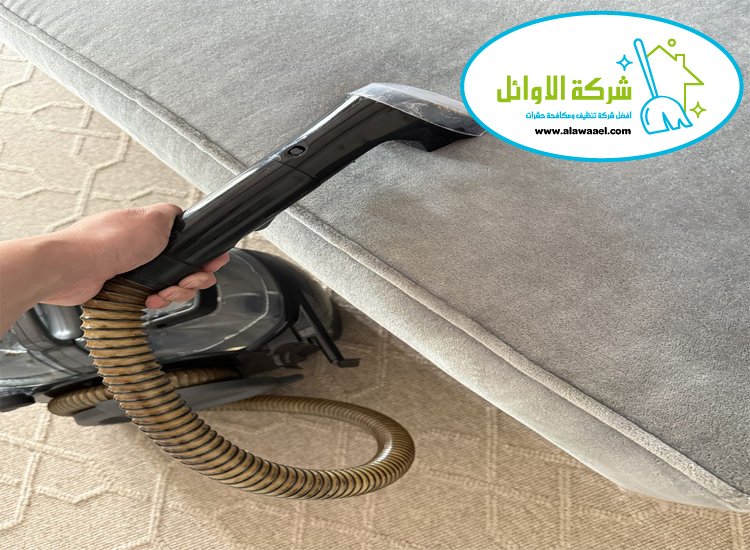 تنظيف كنب