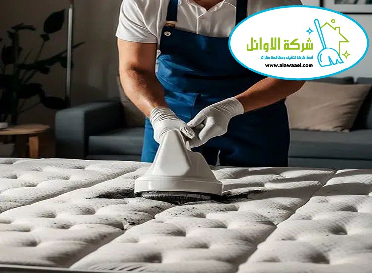 تنظيف كنب