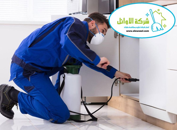 شركة مكافحة حشرات في الريف