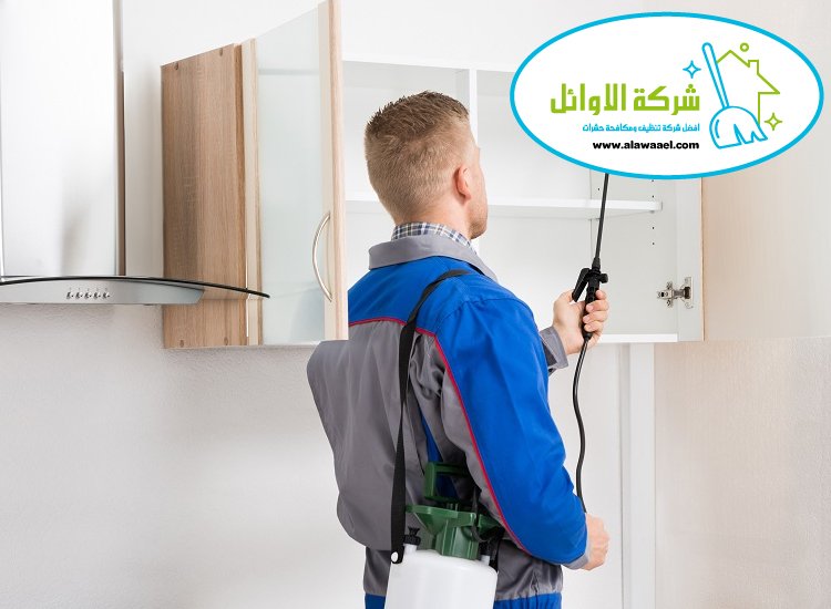 شركة مكافحة حشرات في الباهية 