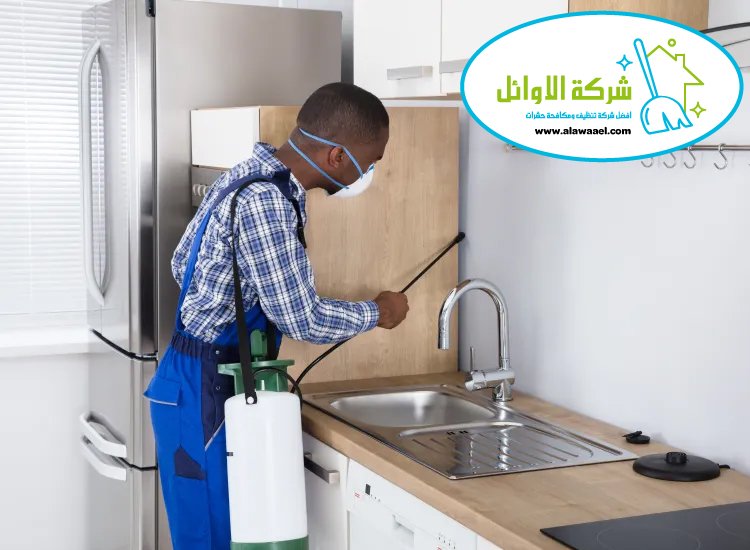 شركة مكافحة حشرات في الرويس 