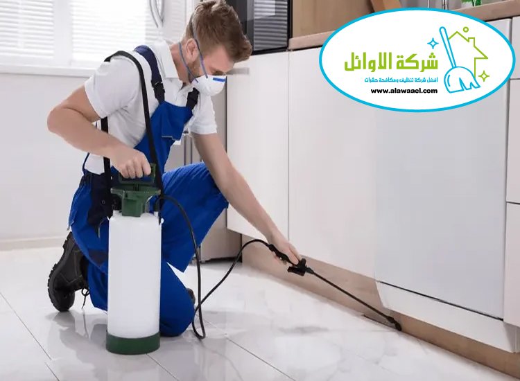 شركة مكافحة حشرات في الباهية 