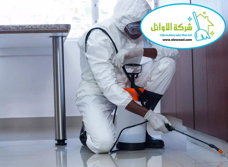 شركة مكافحة حشرات في بني ياس 