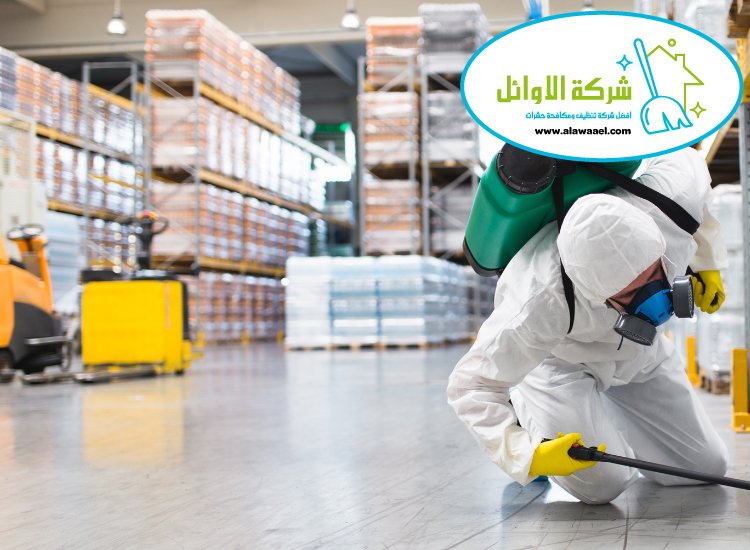 مكافحة حشرات