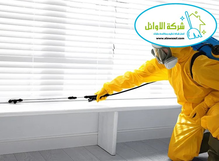 شركة مكافحة حشرات في الرويس 