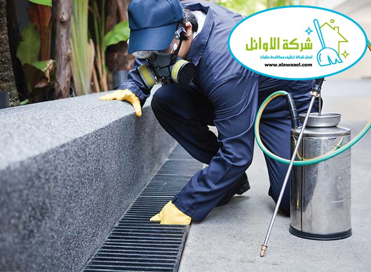 شركة مكافحة حشرات في بني ياس 
