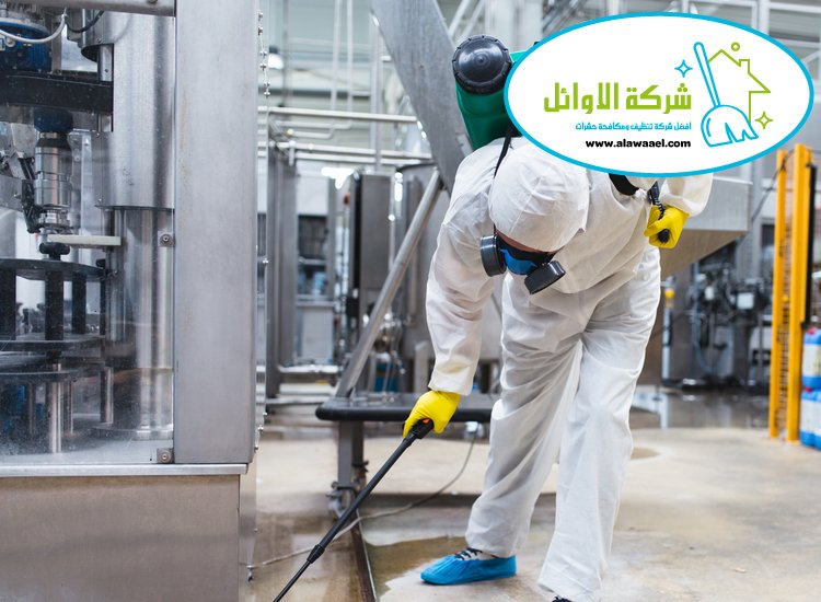 مكافحة حشرات