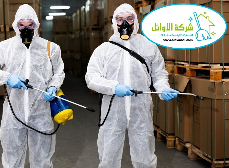 مكافحة حشرات