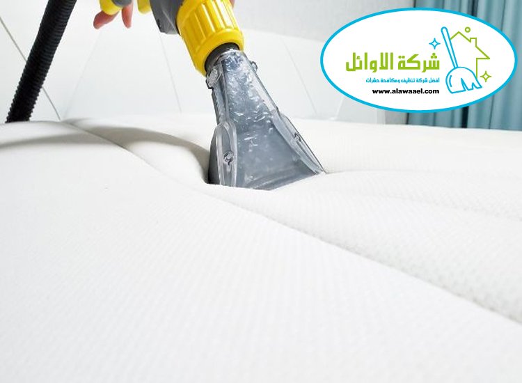 شركة تنظيف مراتب في العين شركة تنظيف مراتب في العين