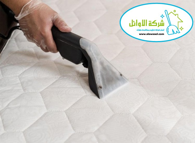 شركة تنظيف مراتب في العين شركة تنظيف مراتب في العين