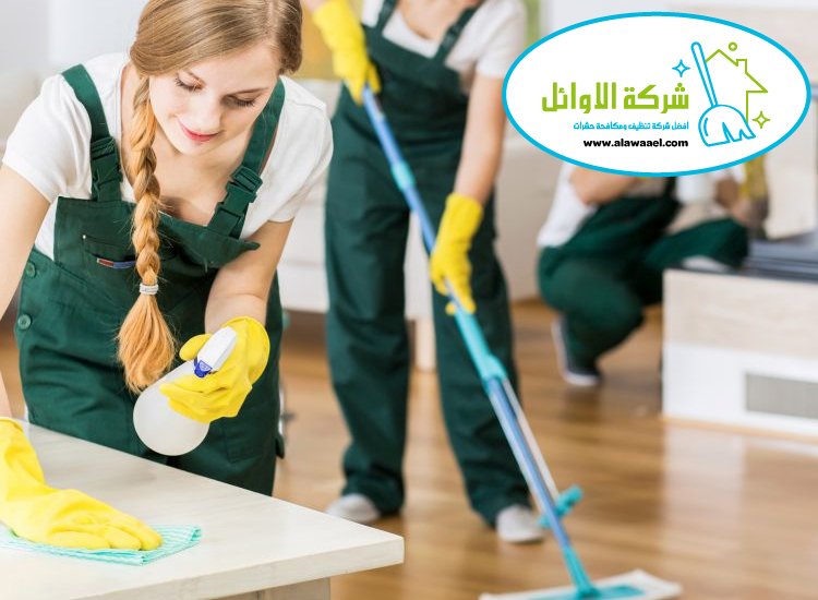 شركة تنظيف منازل في العين شركة تنظيف منازل في العين