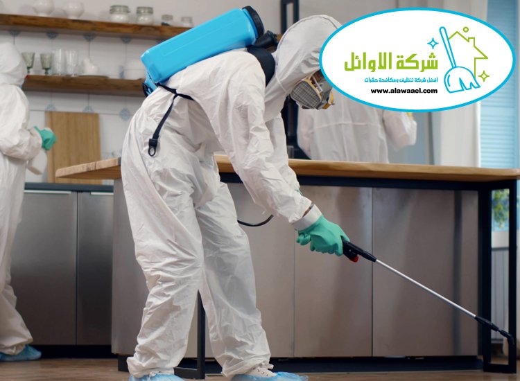مكافحة حشرات