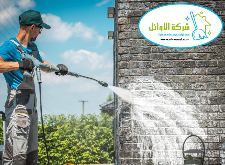 شركة تنظيف احواش في العين