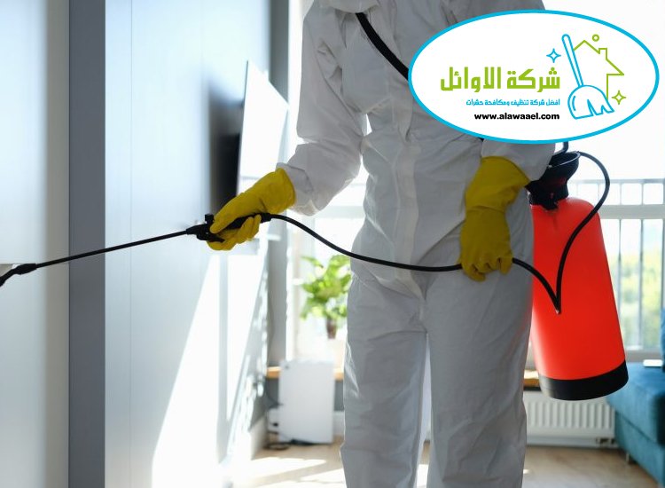 مكافحة حشرات