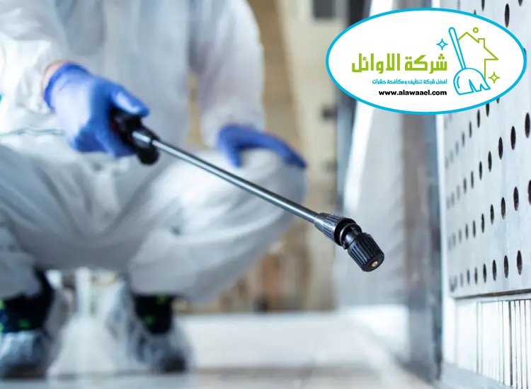 مكافحة حشرات