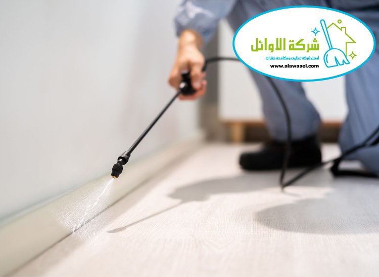 مكافحة حشرات