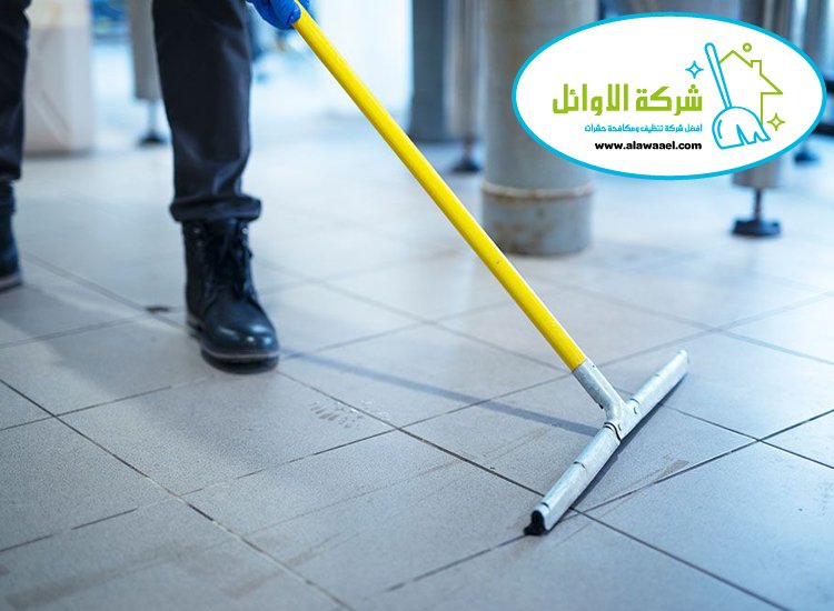 شركة تنظيف ارضيات في العين شركة تنظيف ارضيات في العين