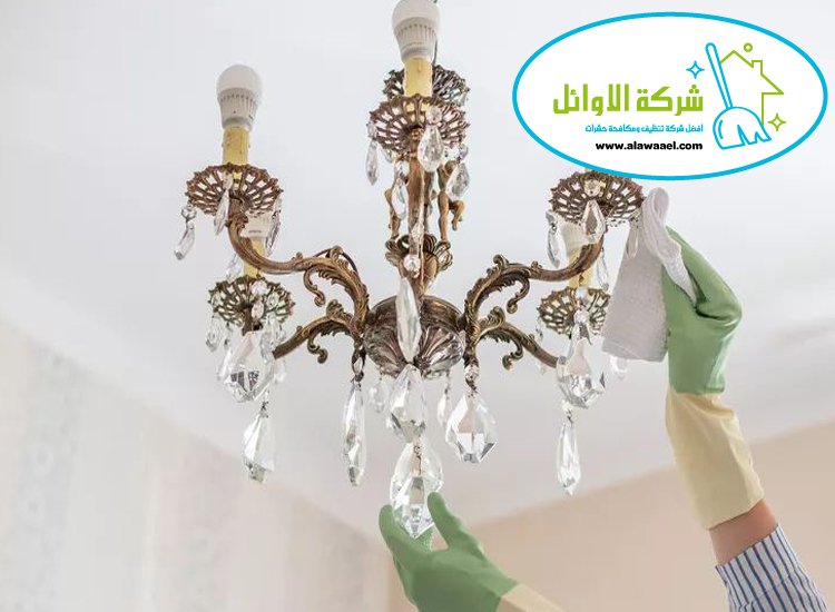 شركة تنظيف نجف في العين شركة تنظيف نجف في العين